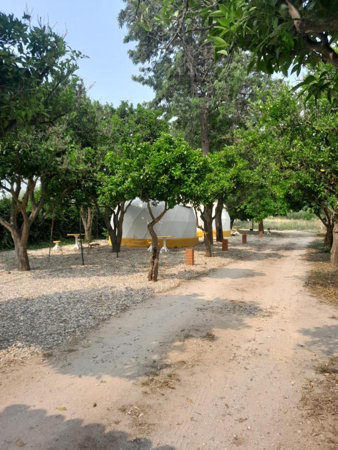 Pateo Das Laranjeiras Tomar Exterior photo